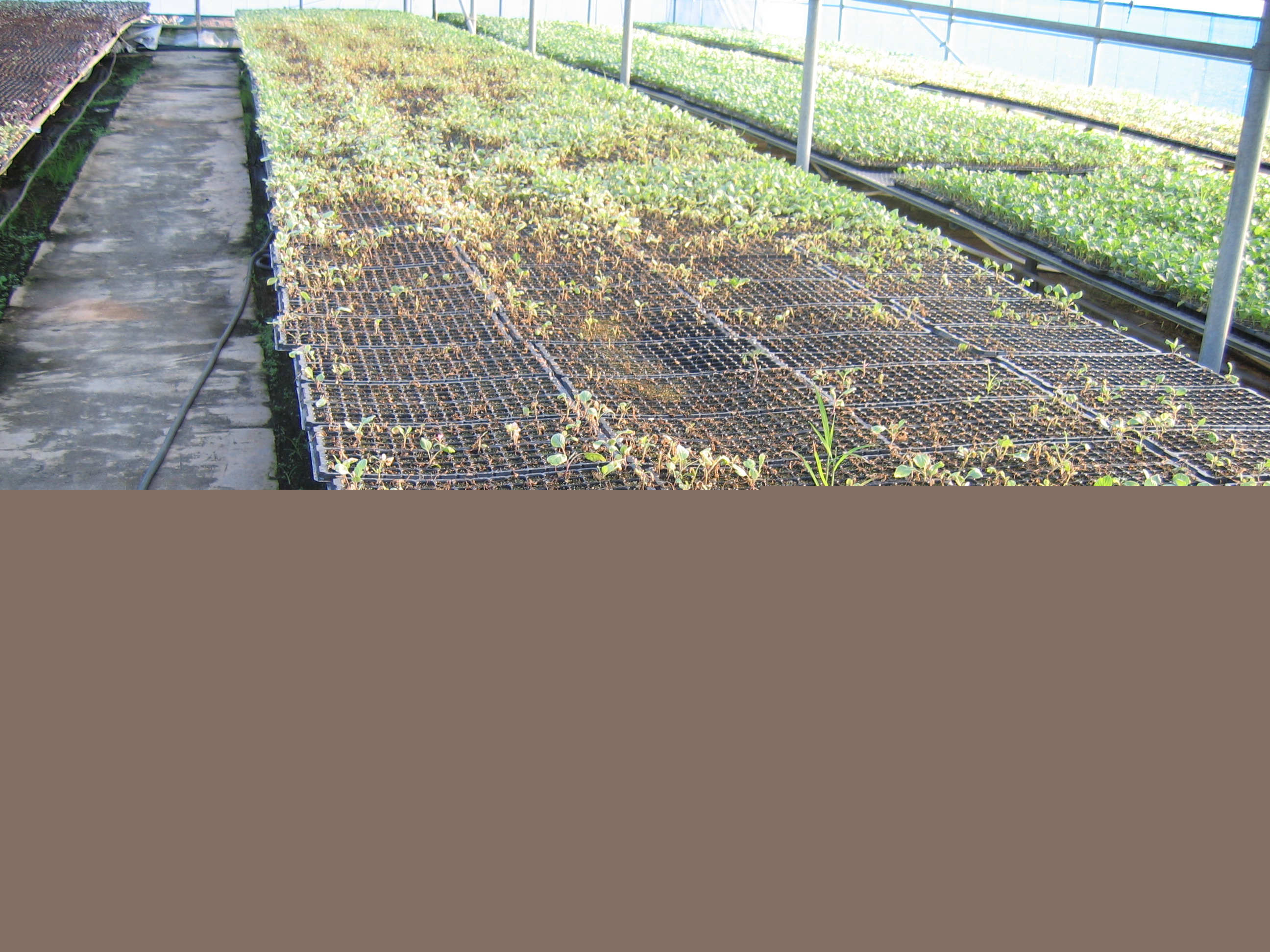 제 17회 농업인의 날 행사